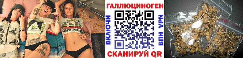 сколько стоит  Похвистнево  Псилоцибиновые грибы MAGIC MUSHROOMS 