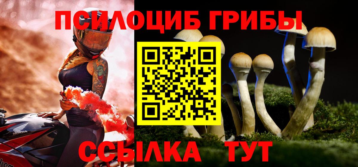 Псилоцибиновые грибы Psilocybe  Вход с VPN  Похвистнево 